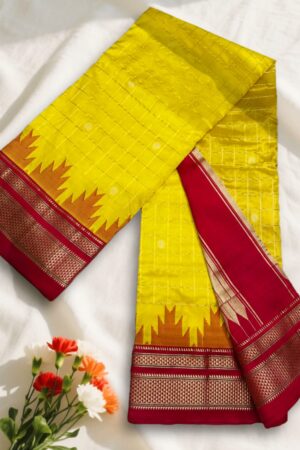 Gadwal Jari Checks Butta Ilkal Silk Saree with Chikki Paras Border