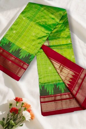 Gadwal Jari Checks Butta Ilkal Silk Saree with Chikki Paras Border