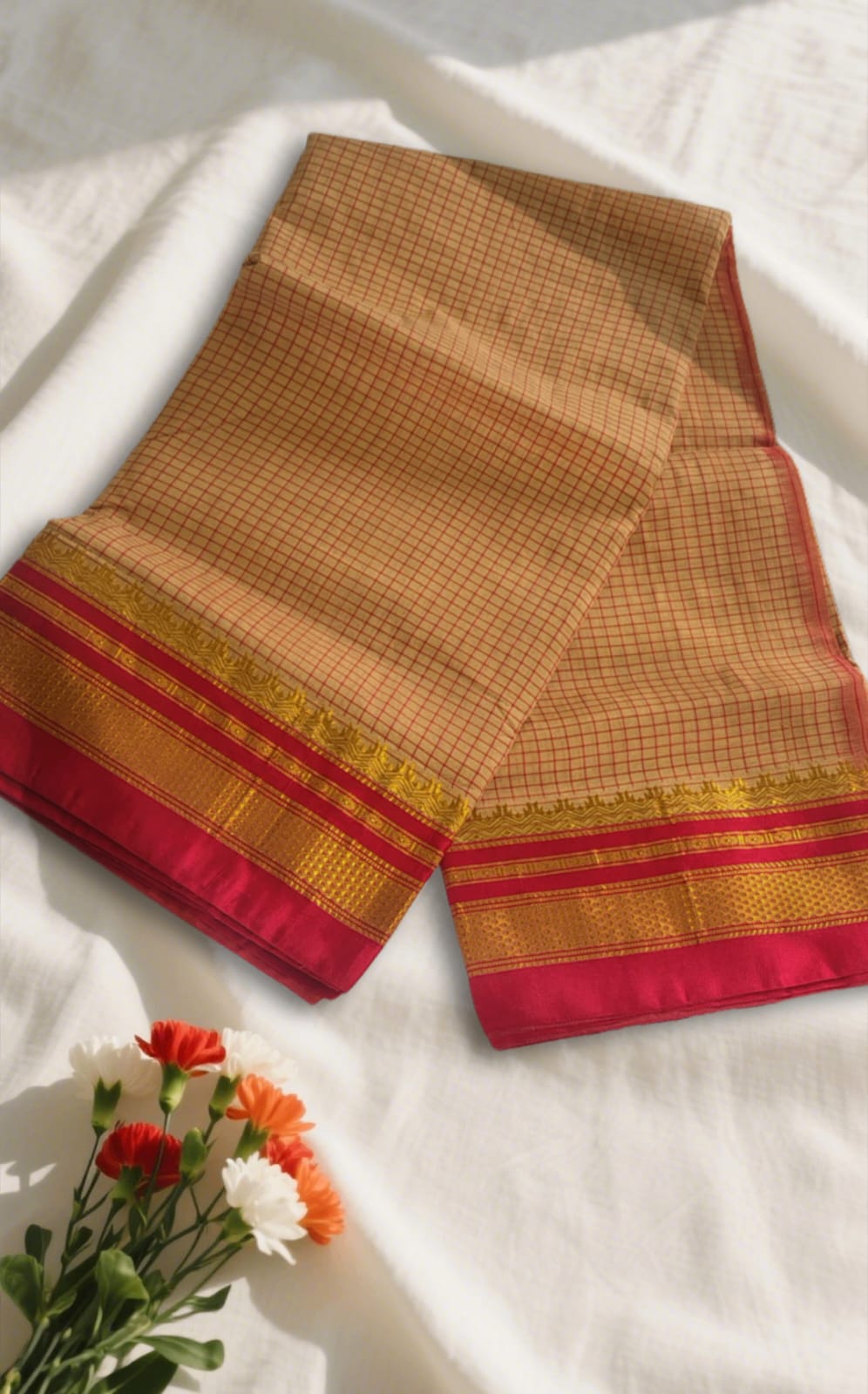 Sandy Brown TanaKaddi Checks chikki paras border Ilkal Saree | ikatra